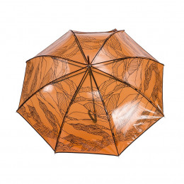 Parapluie Transparent Femme Strata